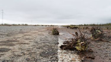 Las aluviones se llevaron hasta a los cactus en Matagusanos