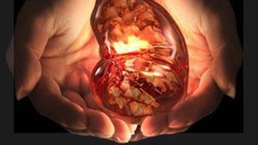 Campaña en San Juan por el Día Mundial del Riñón