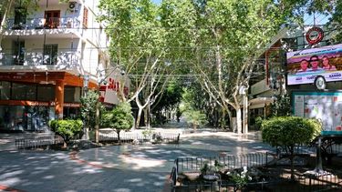 Martes, feriado: ¿cómo funcionarán los servicios?