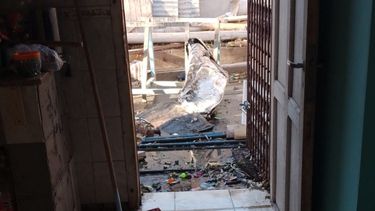 Casas, frentes y fondos de un barrio de Chimbas, inundados por un canal que se tapó con basura ni bien el agua empezó a correr.&nbsp;
