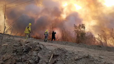Por qué se quemó dos veces el Parque Presidente Sarmiento