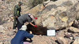 Gendarmes hallaron petroglifos y fragmentos de vasijas en Calingasta tras una denuncia en redes sociales