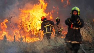 Hermanos del fuego: historias que marcaron a bomberos sanjuaninos