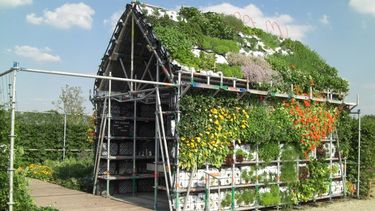 Conocé la casa hecha a base de frutas y verduras