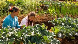 Más de 1000 sanjuaninos tendrán su huerta: la importancia de la autosustentabilidad