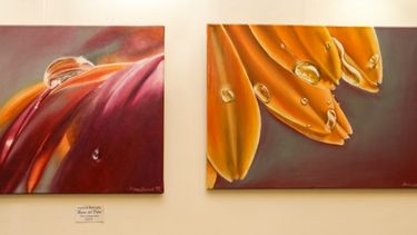 “Reflejos y Olvido”, la nueva exposición de la Cámara de Diputados