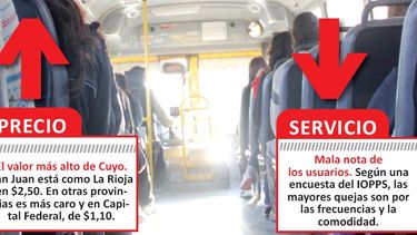 Micros: frecuencia y comodidad, reprobados