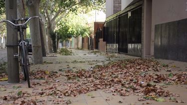 Esta noche llega el Sur para bajar la temperatura