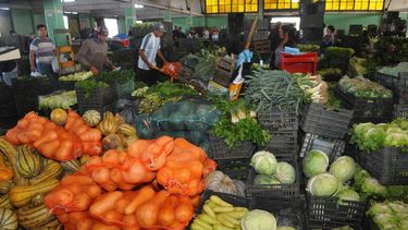 Cómo será el funcionamiento de servicios de Capital