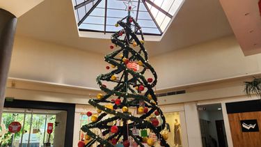 Patio Alvear Shopping: 16 años de trayectoria y esencia sanjuanina Patio Alvear Shopping: 16 años de trayectoria y esencia sanjuanina