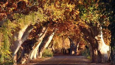 A seguir disfrutando el otoño sanjuanino: así estará el tiempo este viernes