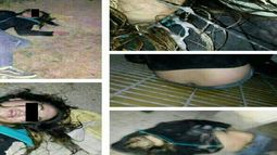 Pasó en San Juan: La orinaron, golpearon, vejaron, y postearon fotos y comentarios