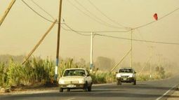 El Zonda llegó a Jáchal y a Rodeo con fuerte viento y caída de árboles