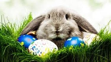 Se vienen las Pascuas y los memes son los protagonistas