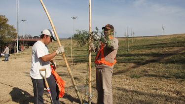 El lateral de Circunvalación pasó a la Provincia y licitan el mantenimiento