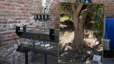 La aceitera La Pocitana cuenta con instalaciones de accesibilidad completa para disfrutar durante todo el año.