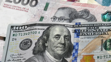 El dólar cierra la semana en San Juan sin modificaciones: el oficial se mantiene y el blue se vende a $1.480 El dólar cierra la semana en San Juan sin modificaciones: el oficial se mantiene y el blue se vende a $1.480