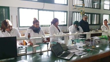 Los chicos de departamentos mineros recibirán becas para terminar sus estudios