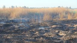 Mirá el informe sobre incendios subterráneos que hizo Tiempo de San Juan