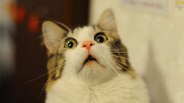 ¿Pasado por agua?: así estará el tiempo este miércoles en San Juan