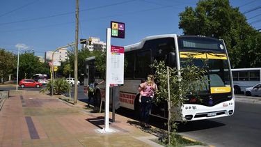 Nación decidió congelar el boleto de colectivo, ¿qué pasará en San Juan?