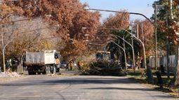 Más cortes en Ignacio de la Roza por poda y obras de ensanche