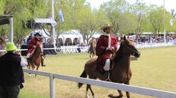 Una nueva edición de los Caballos Peruanos convocará a más de 100 ejemplares