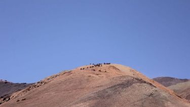 Expedicionarios: “No es lo mismo, extrañamos al Gobernador”