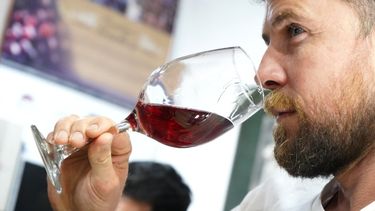 Mirá todas las actividades que habrá en San Juan por el Día del Vino Argentino