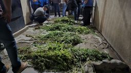 Atrincherados en el Manantiales: tenían droga robada valuada en $40 millones Atrincherados en el Manantiales: tenían droga robada valuada en $40 millones