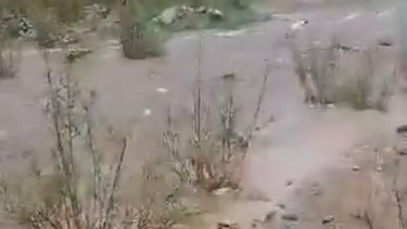 Valle Fértil celebra la creciente en el río