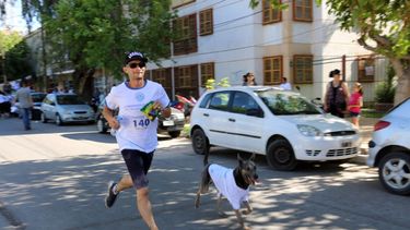 La perlita: el perro que no quiso perderse la maratón