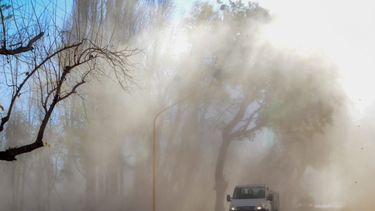 Atención: en estos departamentos rige una alerta por viento Zonda