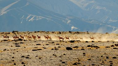 No te pierdas esta panorámica de la Reserva San Guillermo
