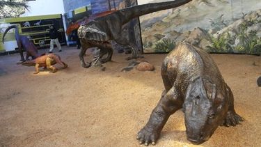 Las claves para que Valle Fértil sea una “Dinociudad”