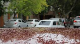 A sacar la camperita: llegó la lluvia y la temperatura descendió a 20º