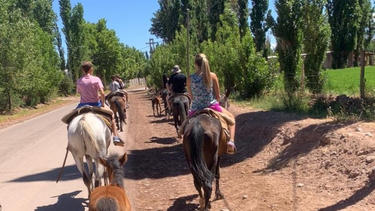 ¿A favor o en contra del uso de animales para recreación? Los sanjuaninos opinaron