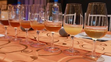 Cómo catar la miel, el néctar que alimenta