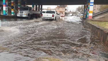 Foto gentileza: Armando Cazanoticias.