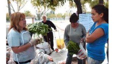 Verduras de la chacra a su mesa llega a San Martín