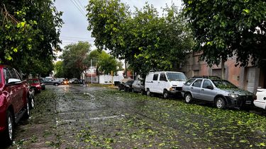Alfombra verde en el centro de San Juan tras la destrucción de la piedra: así quedaron las calles