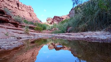 El sendero por el Río Salado muestra postales impensadas dentro de Ischigualasto.