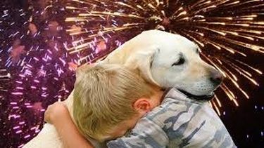 Este año, ¿los sanjuaninos usaron más o menos pirotecnia?