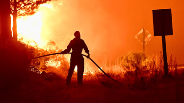 Varias provincias han enviado dotaciones de bomberos y recursos a Chubut para combatir el fuego (Foto: Infobae)
