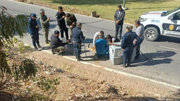 El rescate del puma que apareció este miércoles en Rivadavia demandó un importante operativo. El animal se encuentra en avanzado estado de deshidratación. Fotos: Secretaría de Ambiente El rescate del puma que apareció este miércoles en Rivadavia demandó un importante operativo. El animal se encuentra en avanzado estado de deshidratación. Fotos: Secretaría de Ambiente