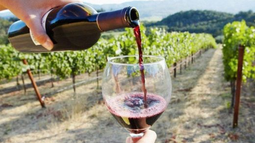 El INV tiene una menor intervención en el proceso productivo del vino a partir de la desregularización del gobierno nacional. El INV tiene una menor intervención en el proceso productivo del vino a partir de la desregularización del gobierno nacional.