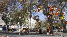 ¡Ventolina!: Agarrala que se vuela