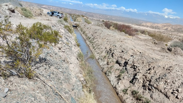 Ajo, alfalfa y chacras, los cultivos afectados tras 7 días sin agua en Calingasta