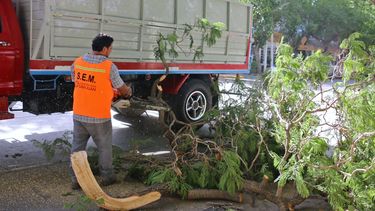 Tras el viento Sur, así se encuentra la provincia