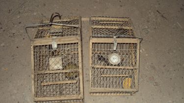 Operativos de Semana Santa: se labraron 14 actas